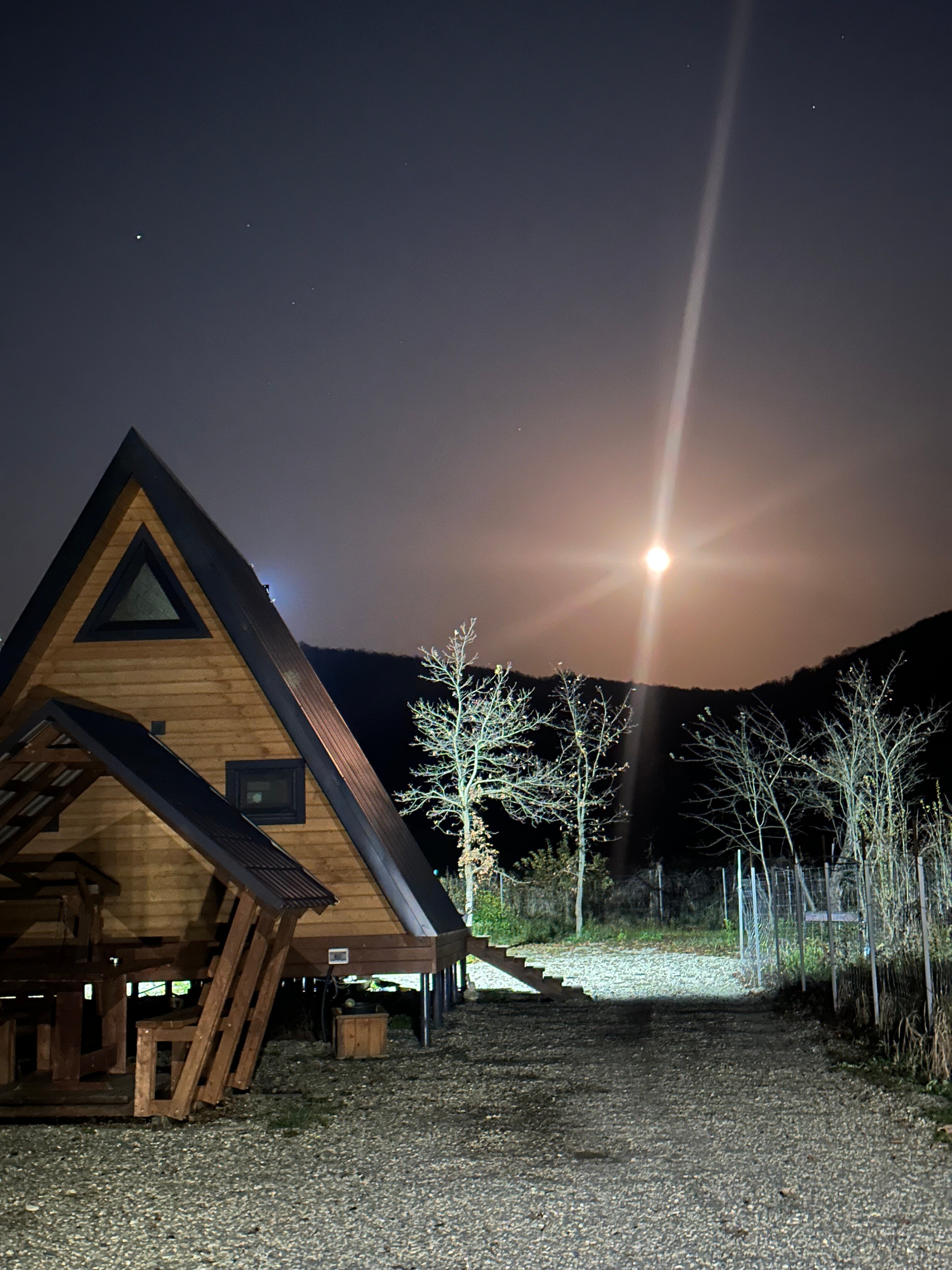 Фото Alisa Aframe