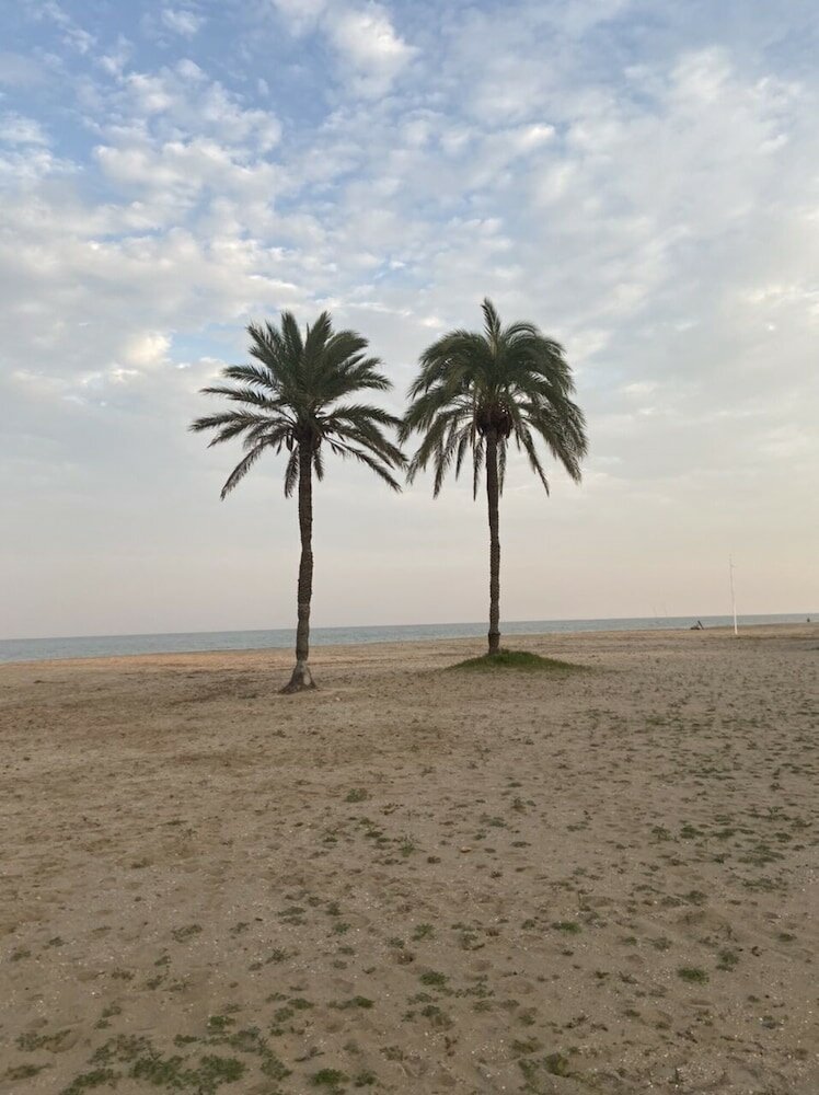 Фото Hostal Pensimar