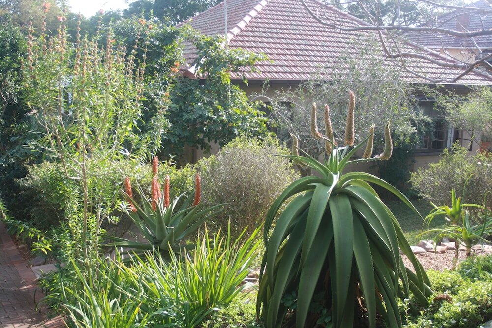 Фото Mackaya Bella Guest House