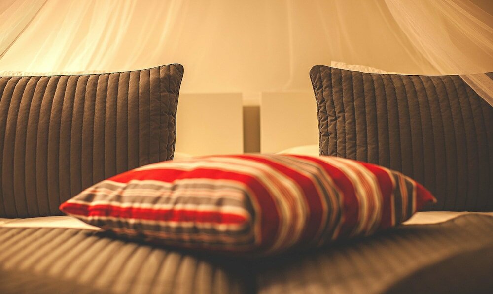 Фото Hotel Bodega El Juncal