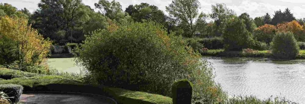 Фото Dragonfly Hotel Colchester