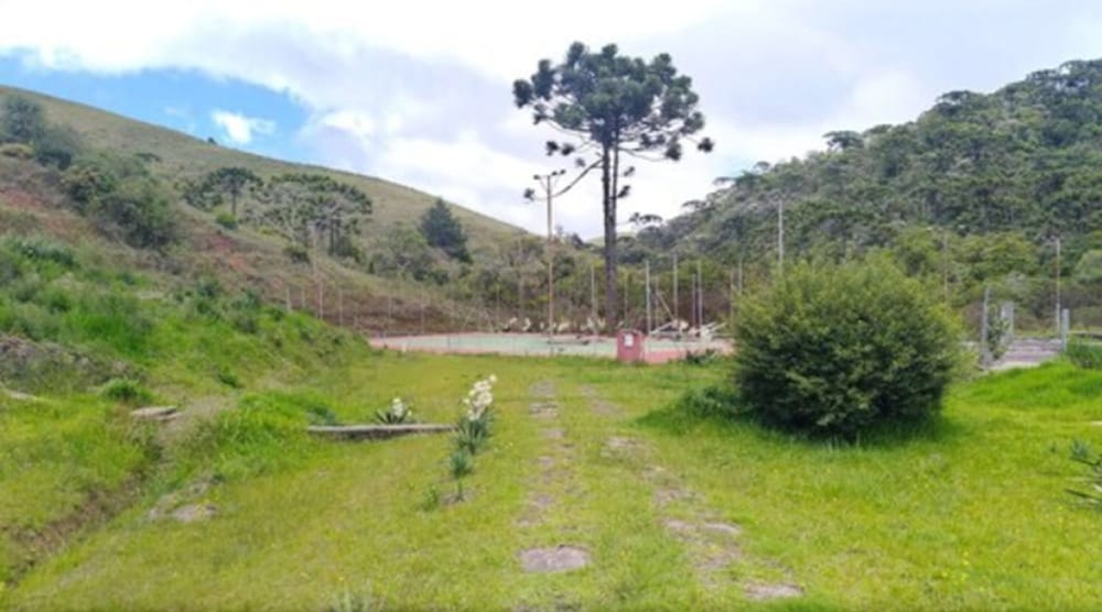 Фото Plaza Inn Week Inn