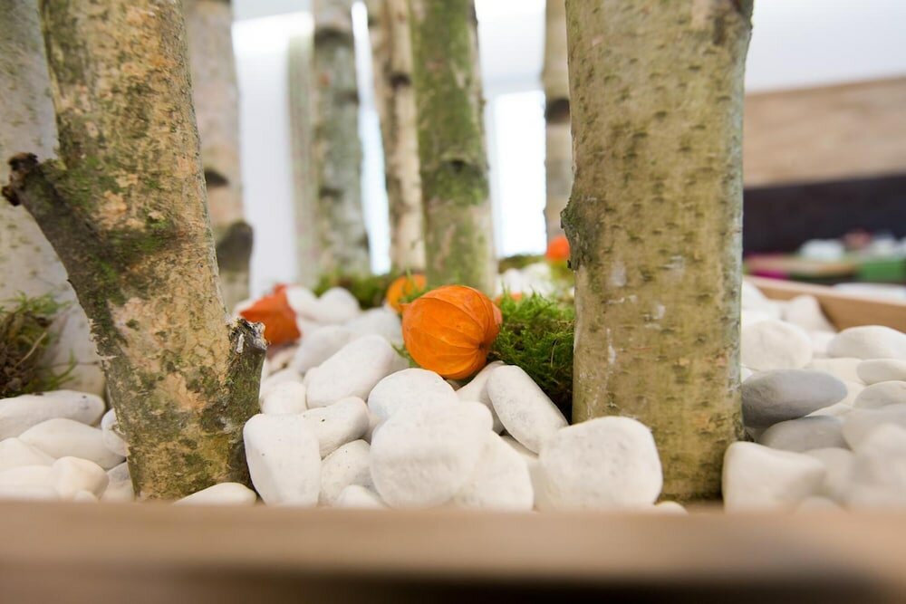 Фото Hotel Bauer garni