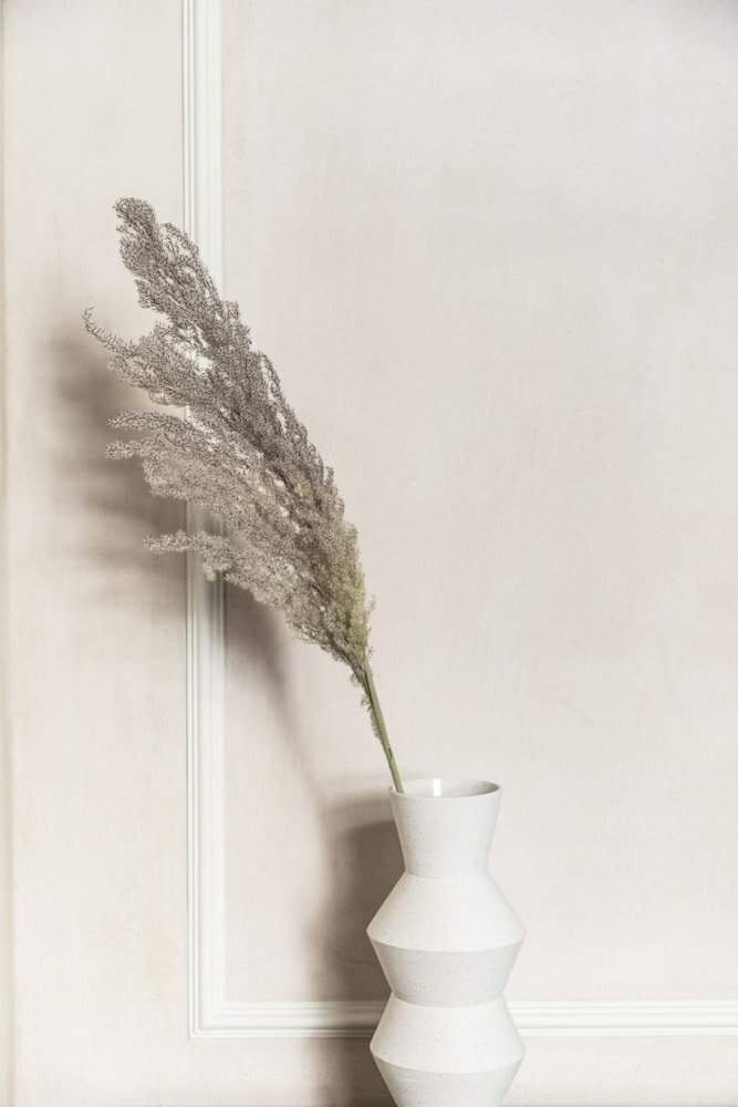 Фото Monsieur Didot