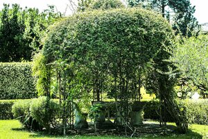 Гостиница Villa Royal