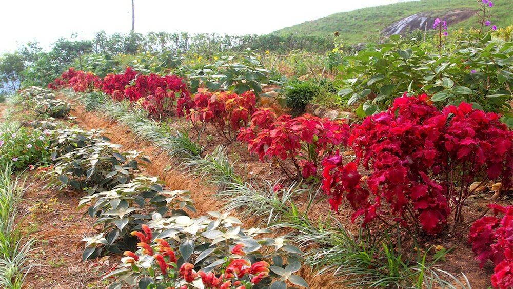 Фото Windloft Retreat