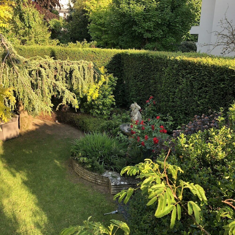 Фото Hotel Des Cedres