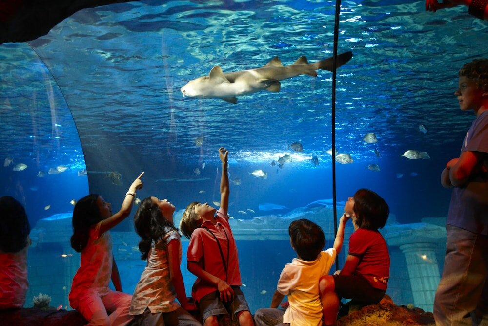 Фото Portus Cale Hotel