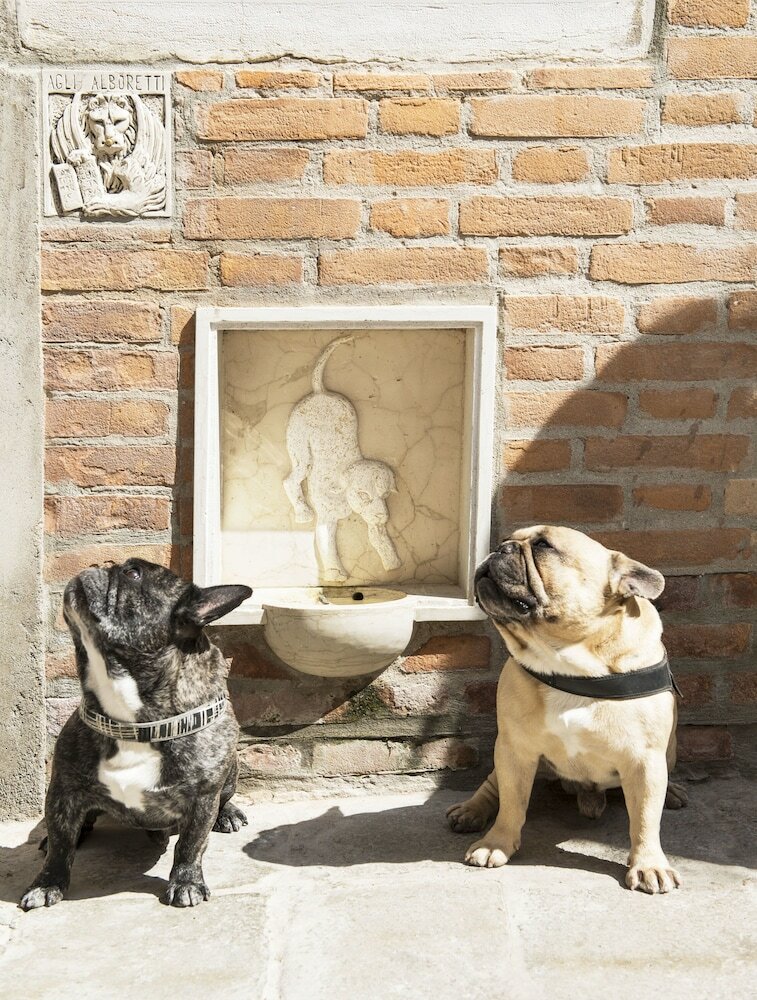 Фото Agli Alboretti