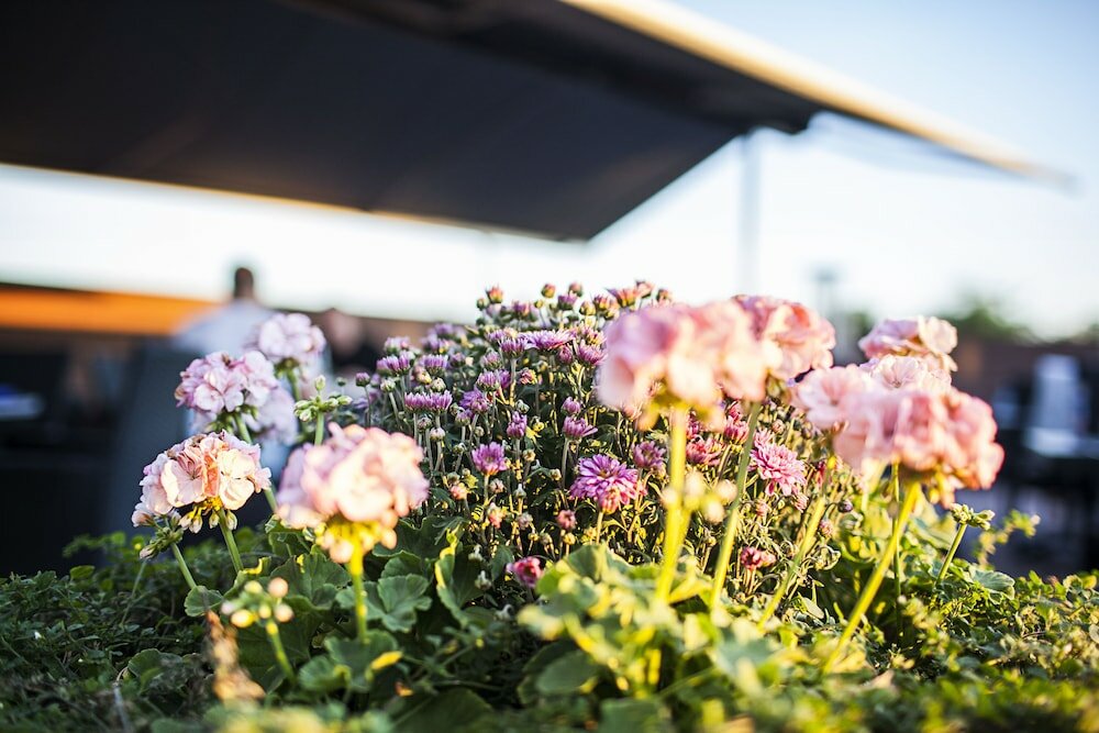 Фото Scandic Sluseholmen