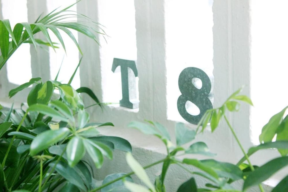 Фото Okinawan. Sweet Home. T-8