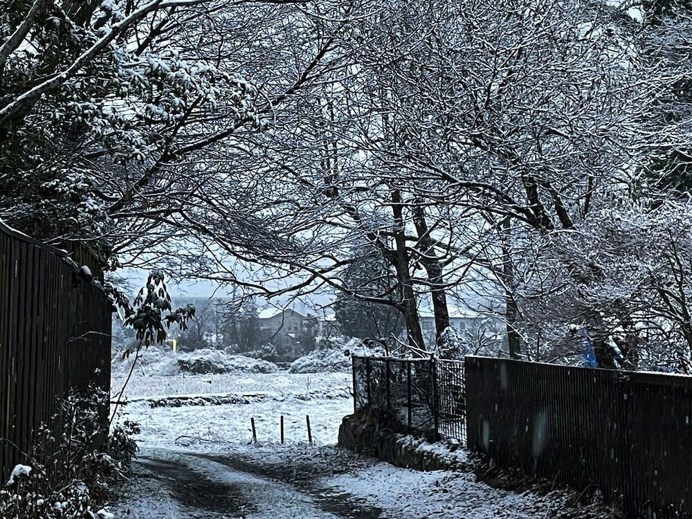 Фото Yufuin Hananomai