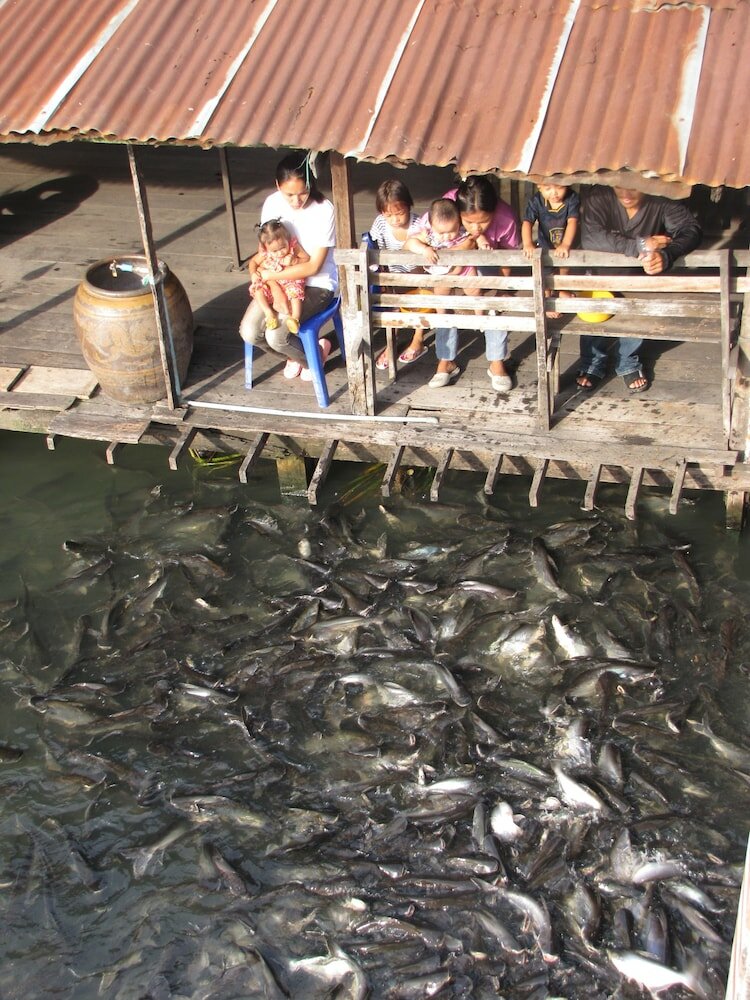 Фото Bang Luang House