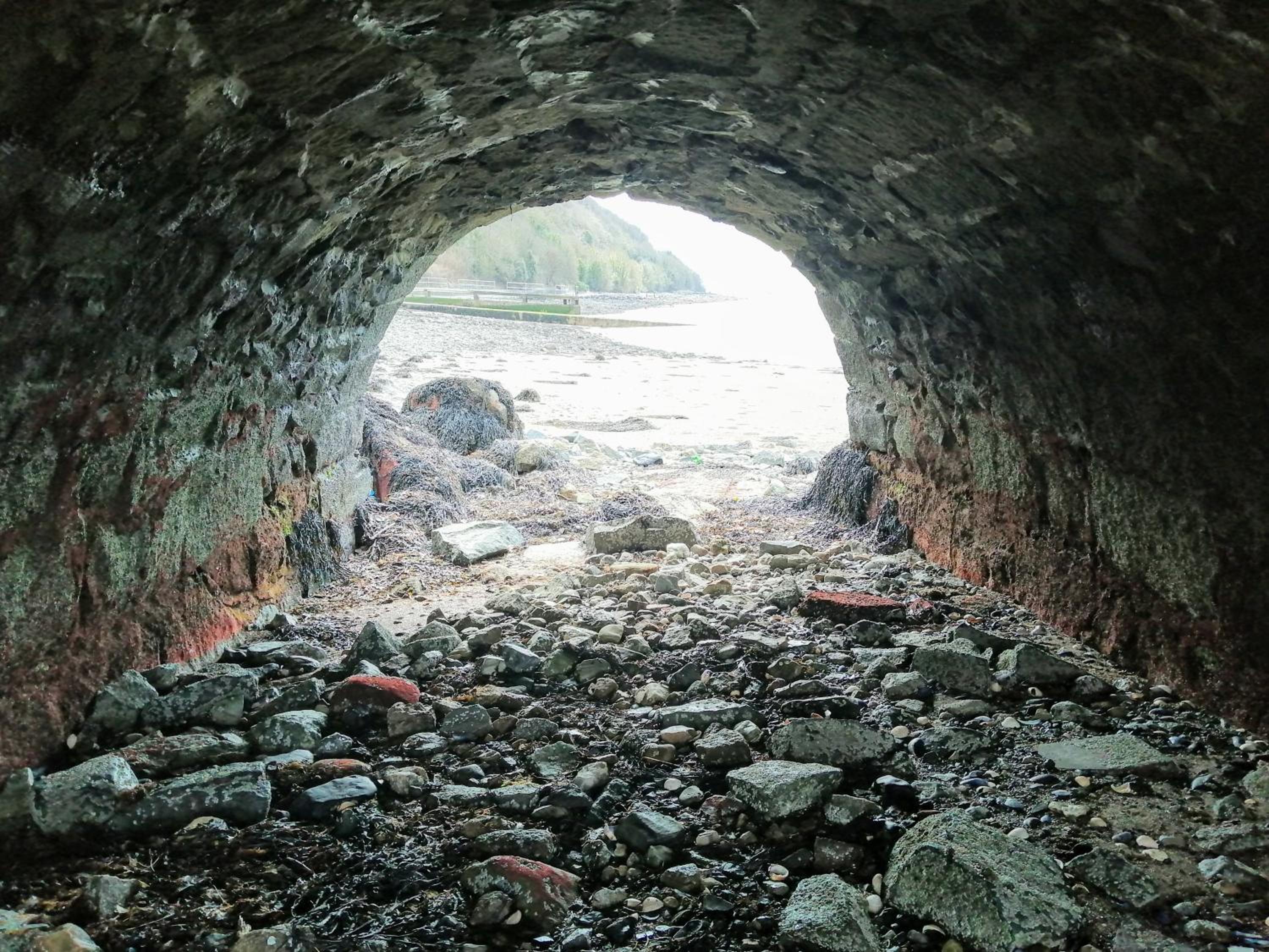 Фото The Oystercatcher