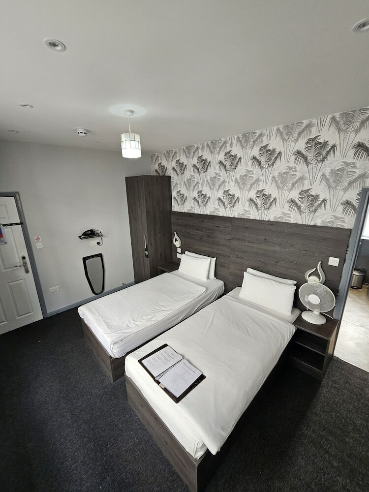 Фото Casuarina Tree