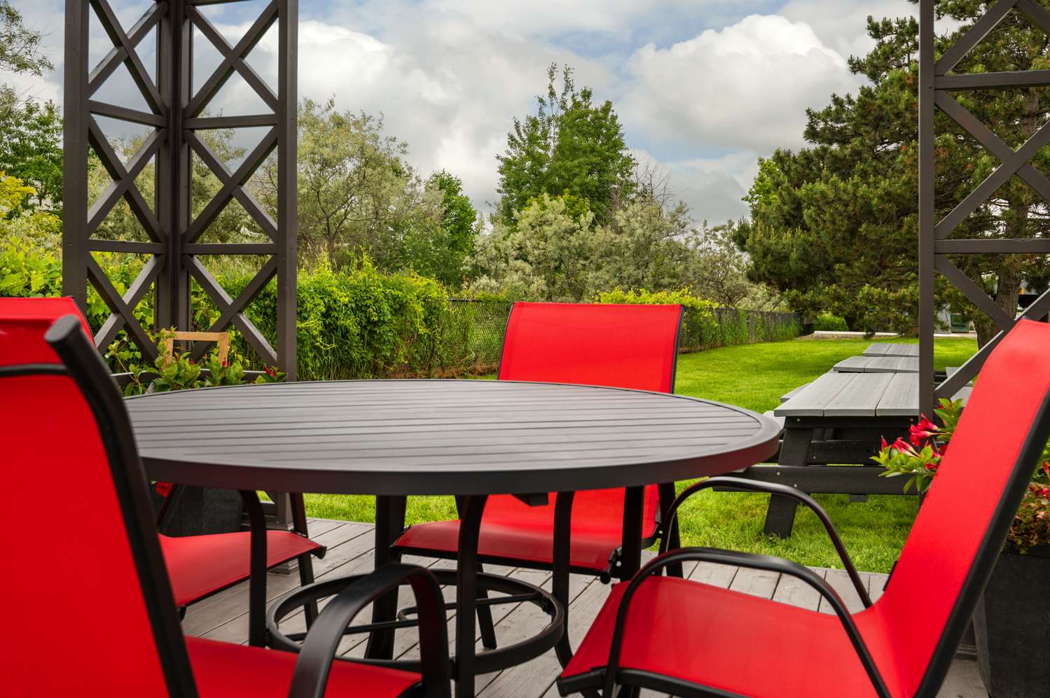 Фото Comfort Inn Newmarket