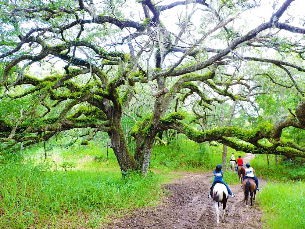 Фото Howard Johnson by Wyndham Ocala Fl