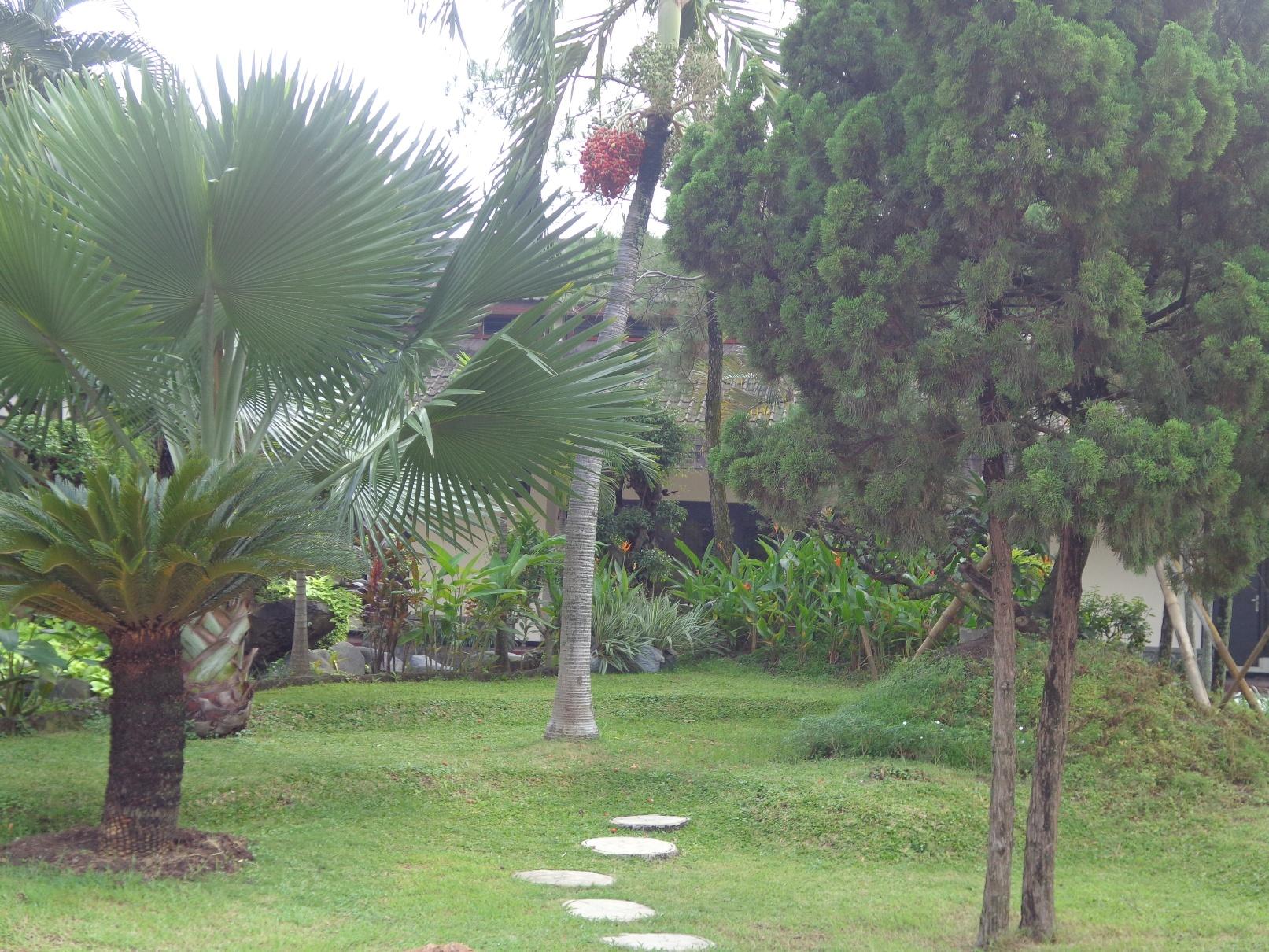 Фото Insumo Palace Hotels & Resorts