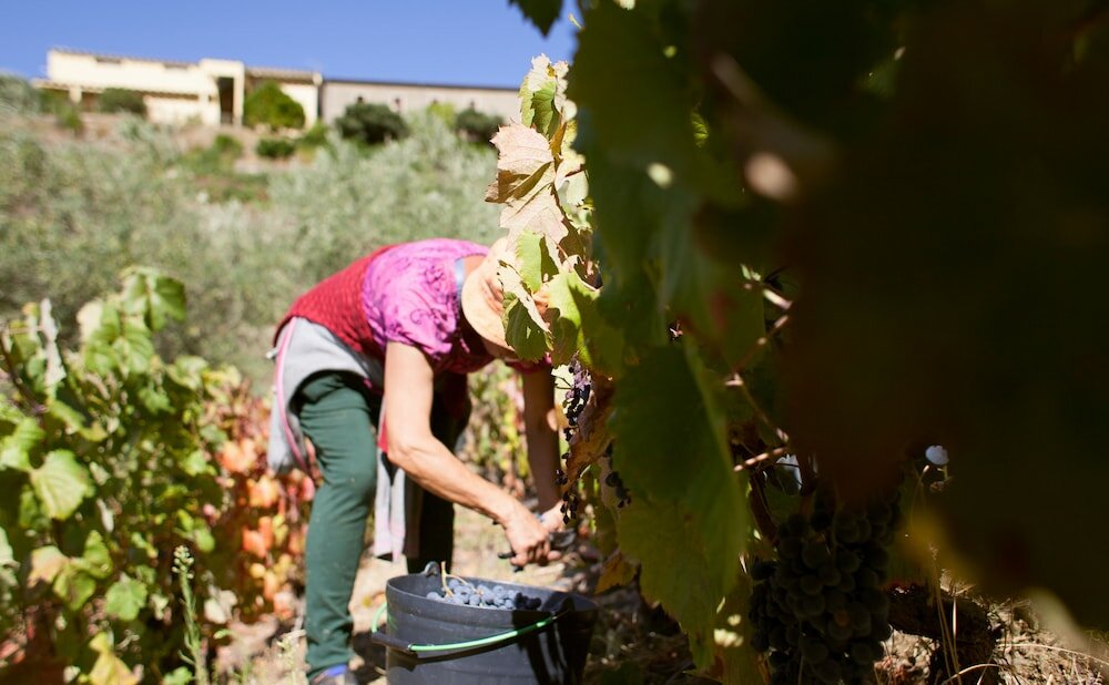 Фото Hotel Rural Quinta do Silval