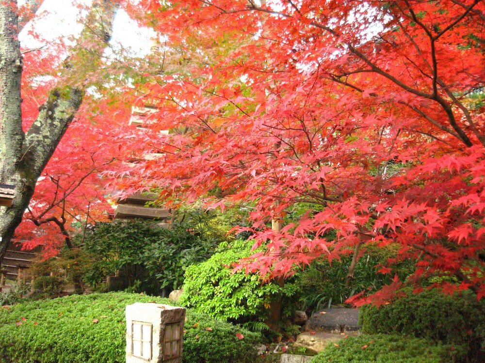 Фото Ryokan Nenrinbo