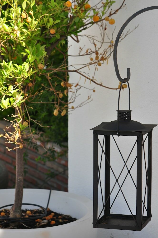 Фото Oasis Cordoba Hotel