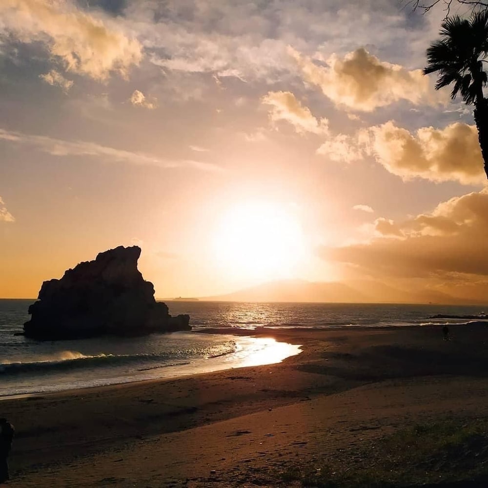 Фото Hostal Moscatel