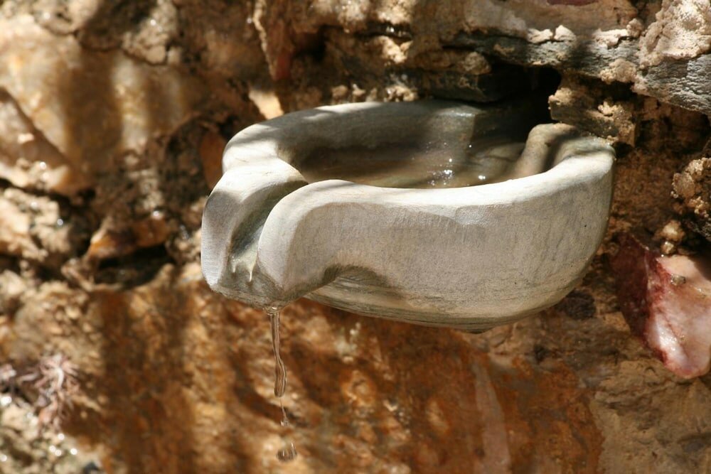 Фото Palladion Hotel