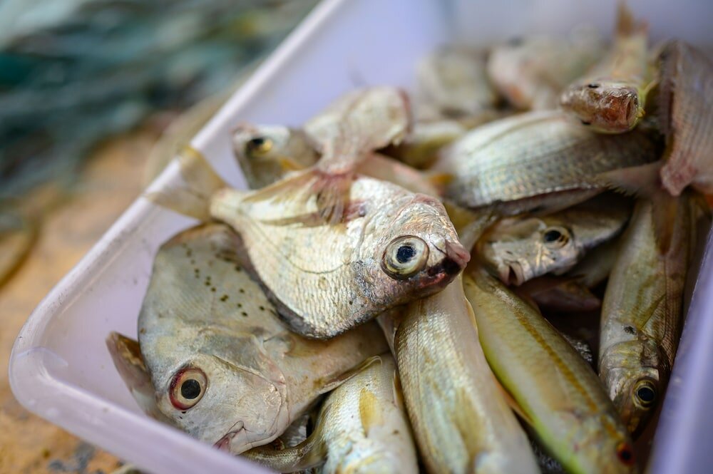 Фото Quarter 09 Beach