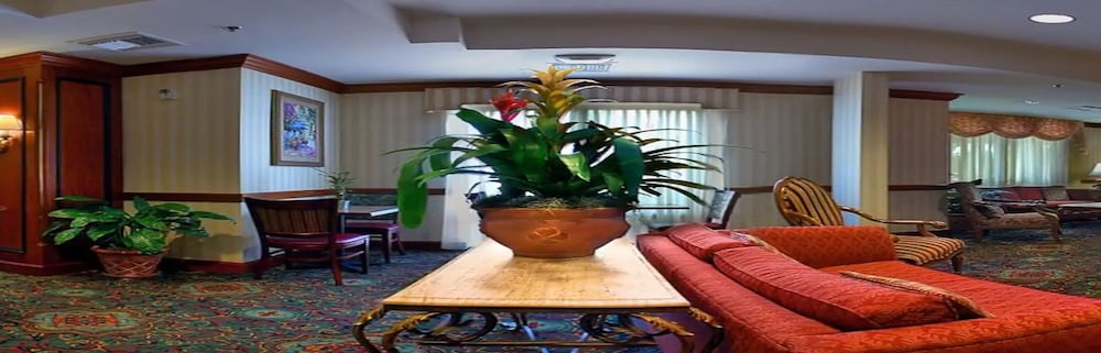 Фото SpringHill Suites by Marriott Tampa Westshore Airport