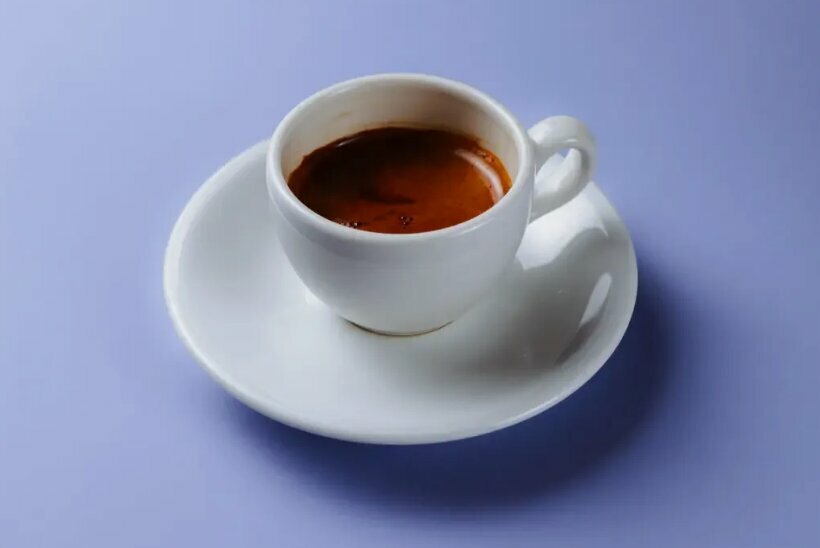 Coffee shop Mox, Anapa, photo