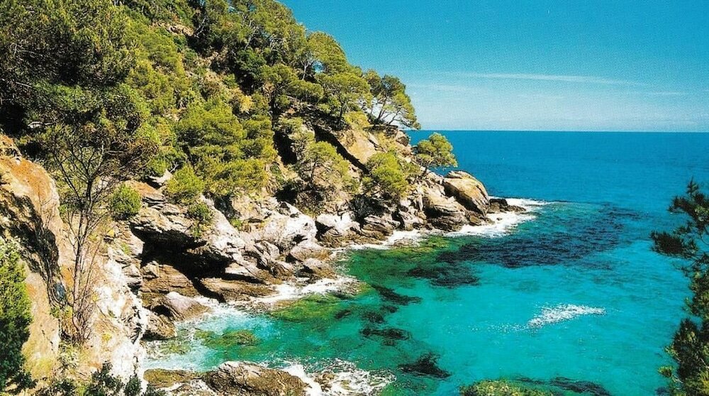 Фото Hotel de Flore