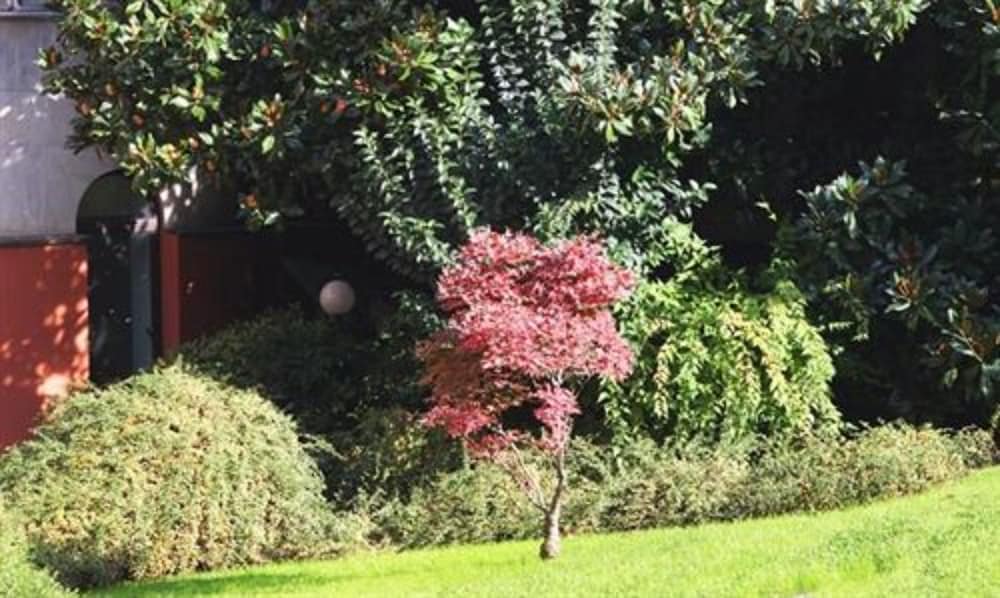 Фото Hotel Tiziano