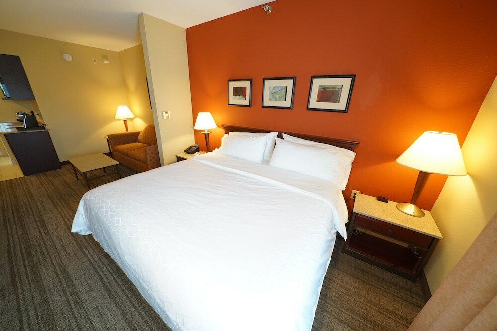 Фото Holiday Inn Express Hotel & Suites Tampa Northwest - Oldsmar, an Ihg Hotel
