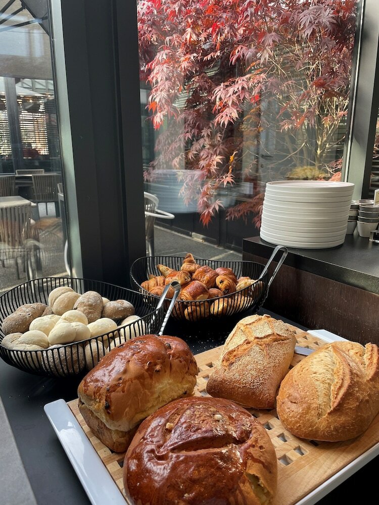 Фото Hotel Montanus