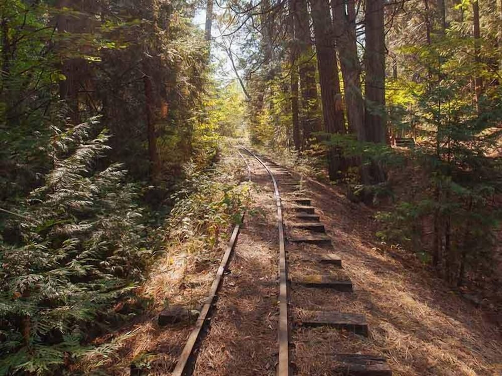 Фото Northern Queen Inn