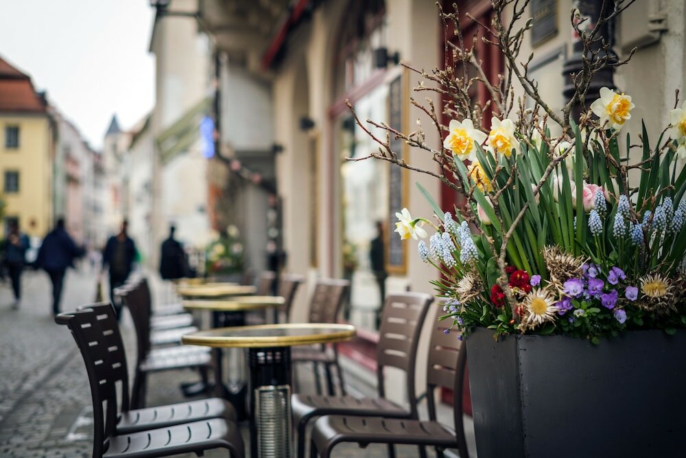 Фото Bohemian Hotel