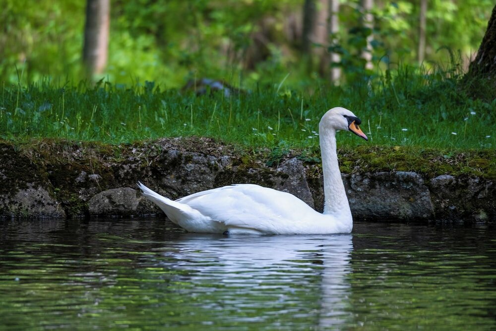 Фото Hotel Caldas