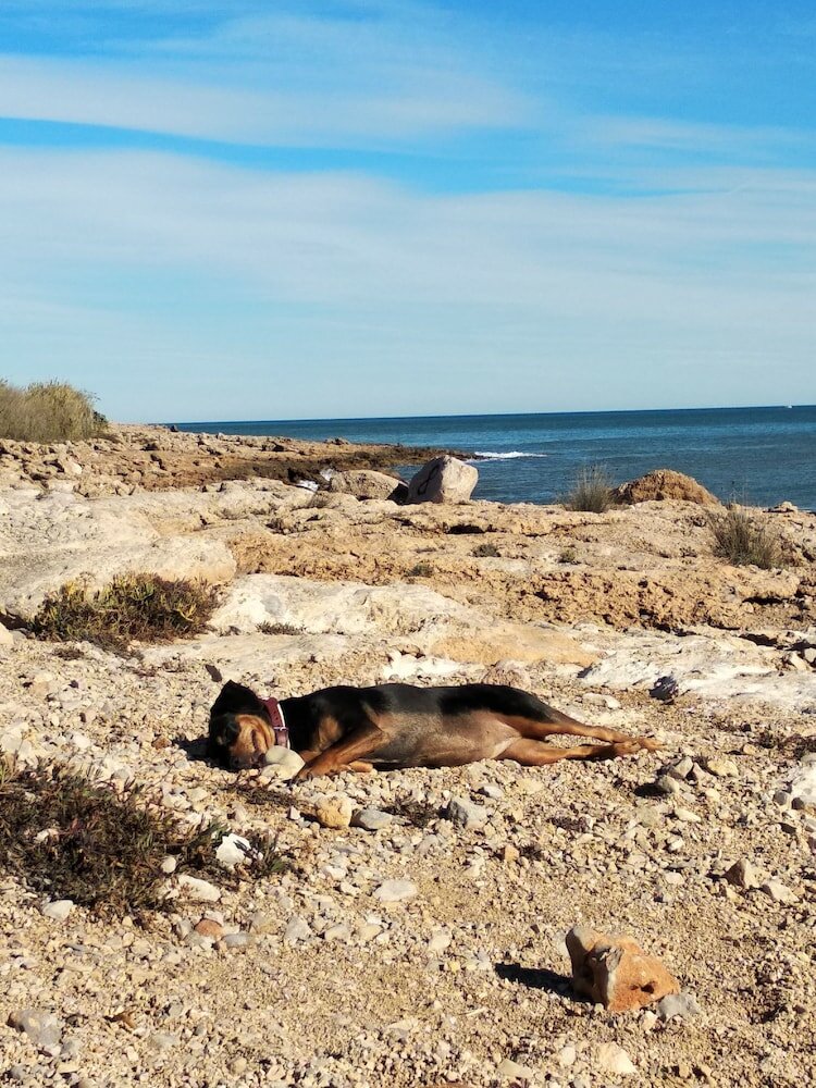 Фото Hostal Dios Esta Bien
