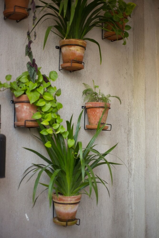 Фото Hotel Citlalli