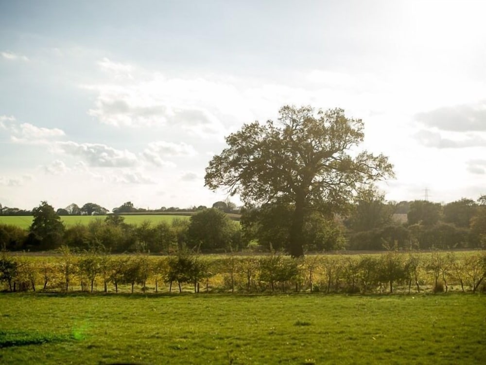 Фото The White Horse Inn