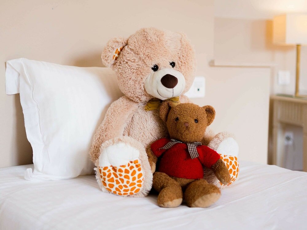 Фото Mercure Moulins Centre