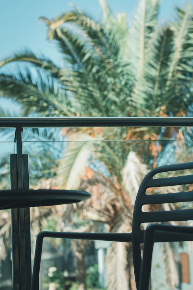 Фото Apartamentos El Palmar