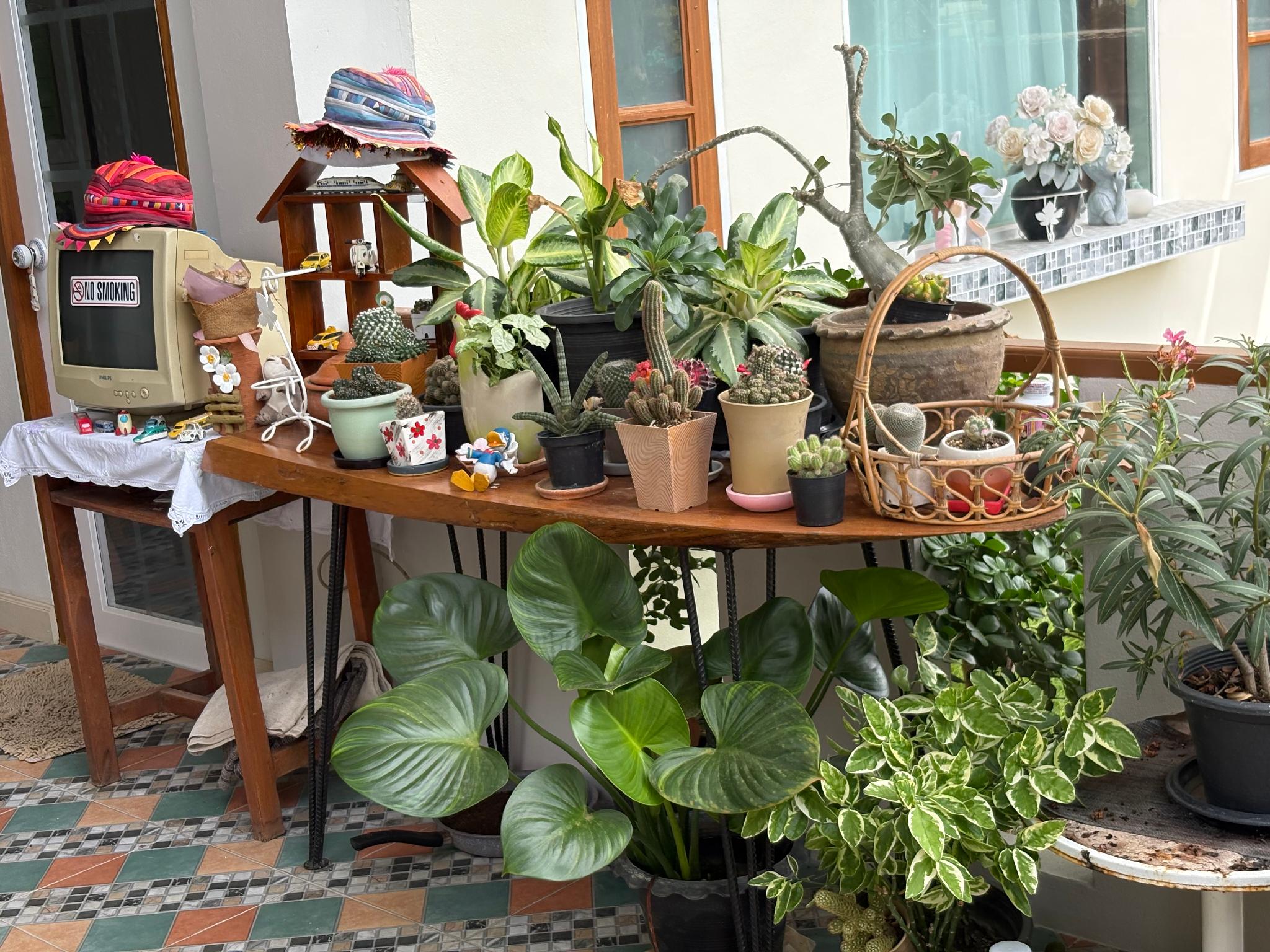 Фото Thai Guesthouse