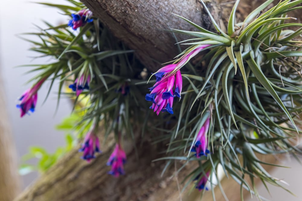 Фото Kingfisher GuestHouse