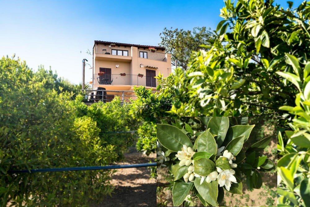 Фото B&b Parco Dei Templi