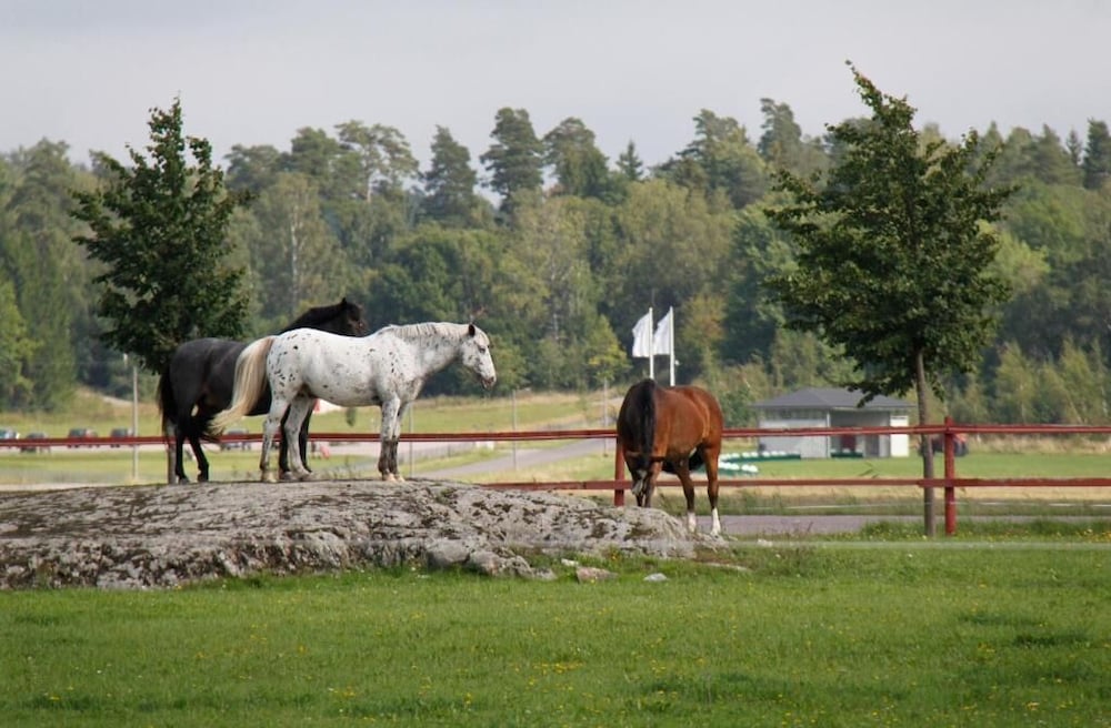 Фото Åda Golf & Country Club
