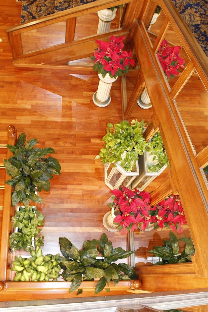 Фото Pace Helvezia