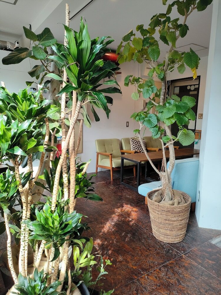 Фото Tokyo Guesthouse Oji Music Lounge