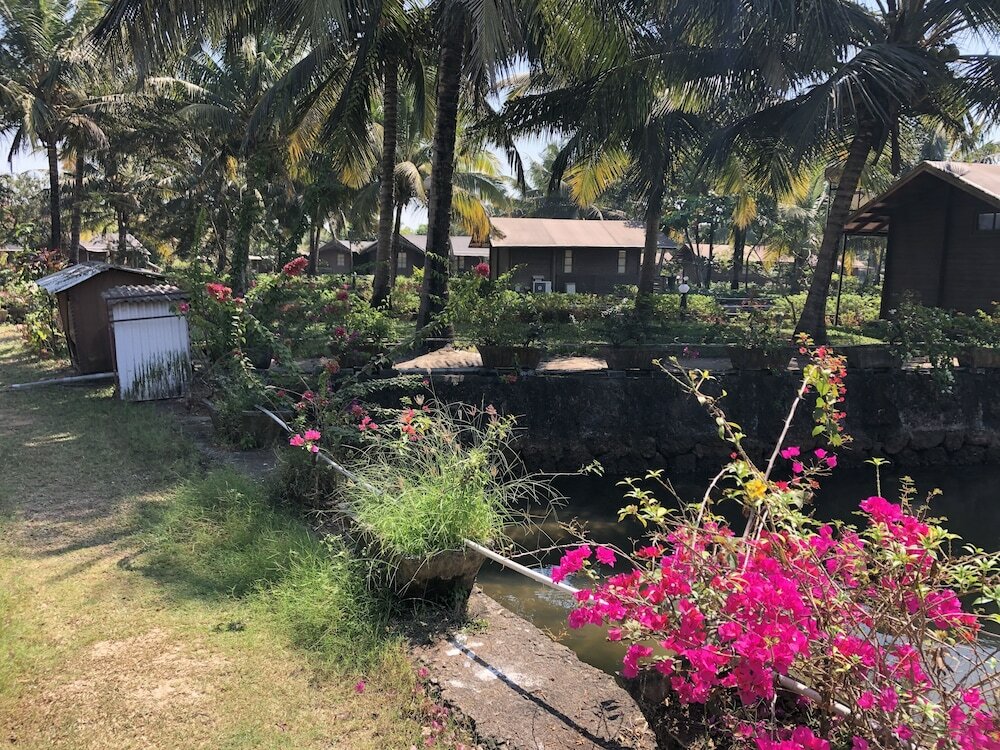 Фото Resort Primo Bom Terra Verde