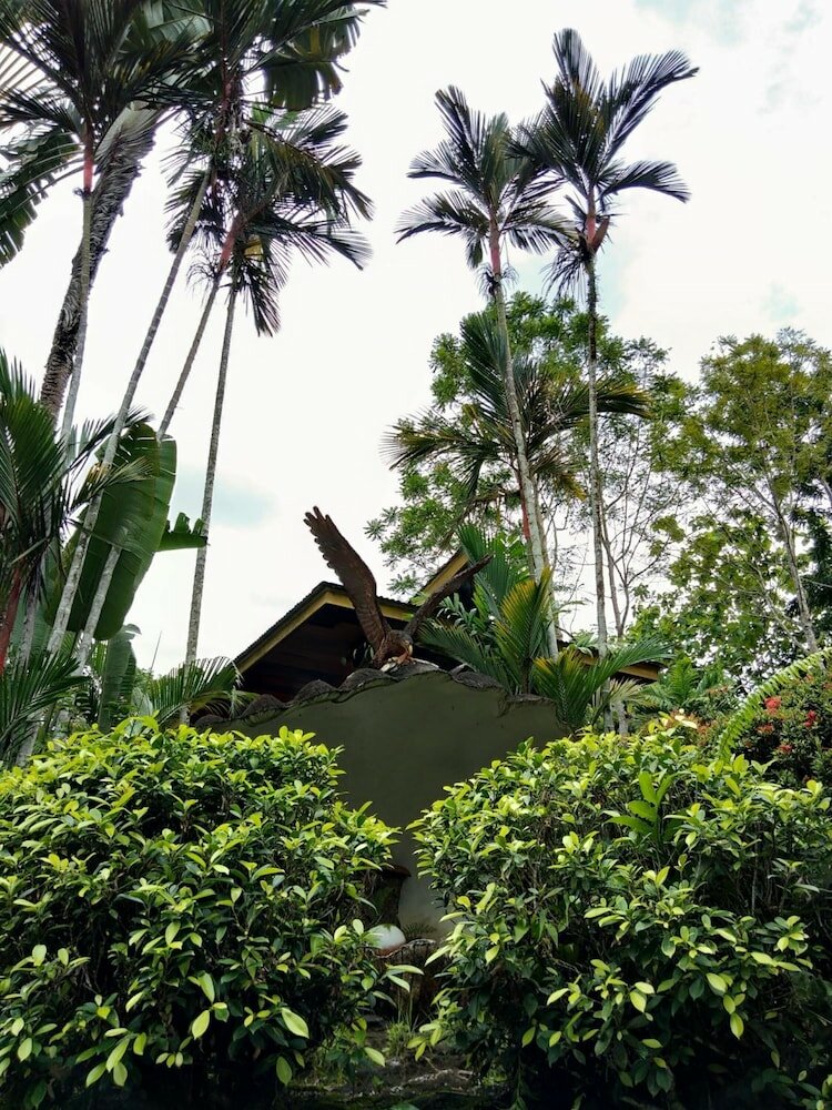 Фото Sepilok Jungle Resort